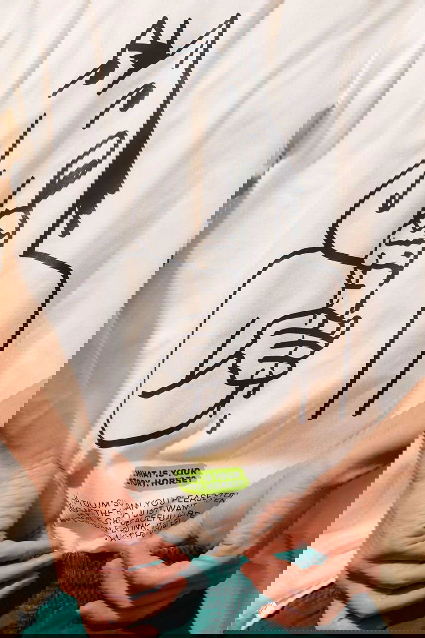 Футболка с крупным принтом Story Horse: рисунок коня, держащего мороженое, нанесён чёрным контуром на светлой ткани в стиле бренда.