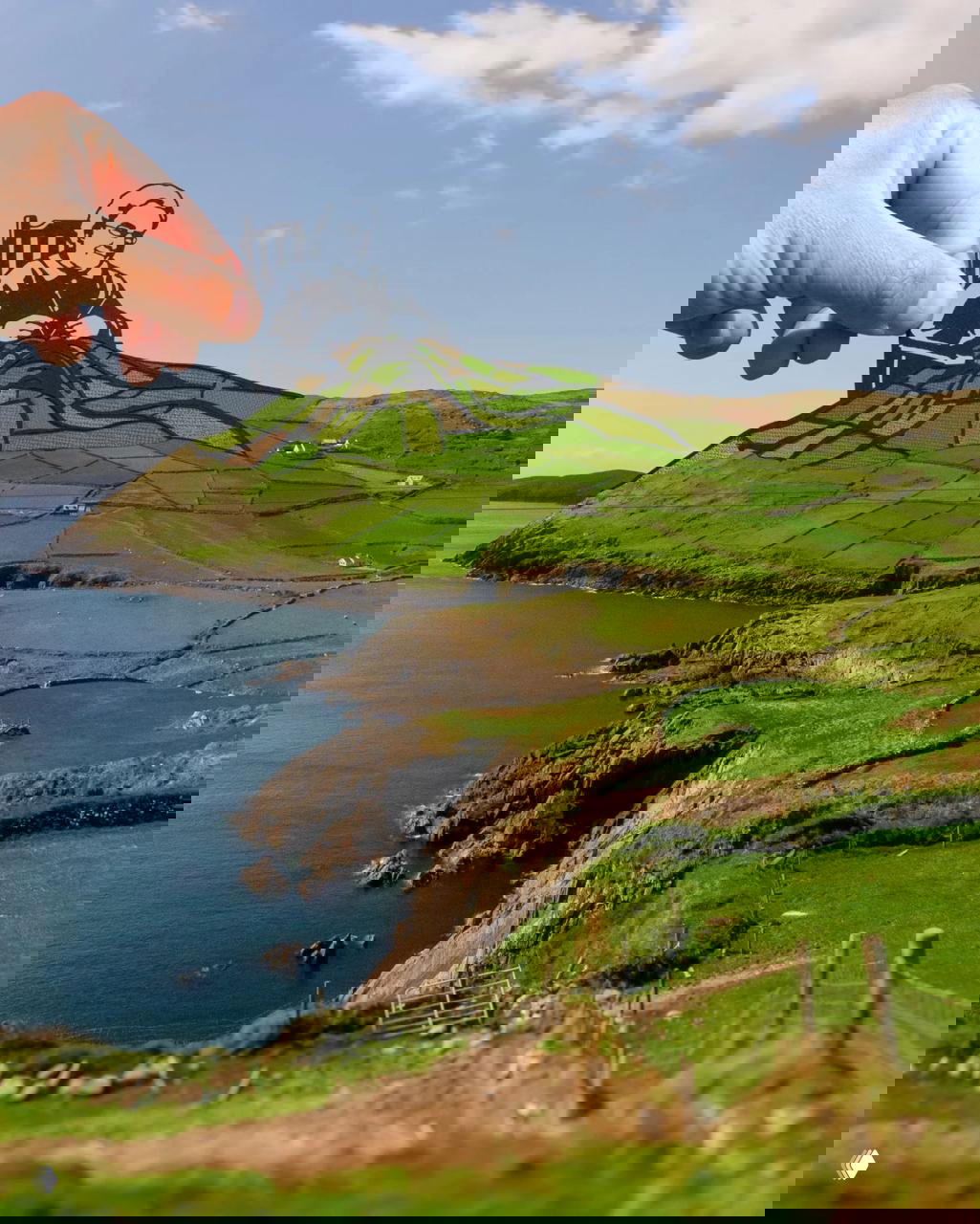 Рука держит вырезанную бумажную иллюстрацию бабушки в кресле, наложенную на прибрежный пейзаж с зелёными лугами и утёсами.