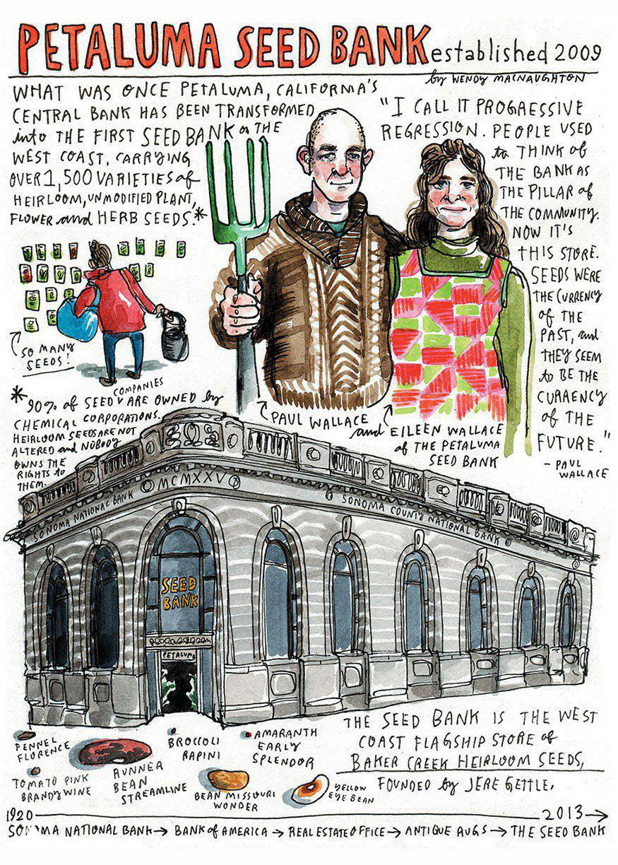 Иллюстрация здания Petaluma Seed Bank с портретами основателей и текстовыми комментариями — городской рассказ в скетч‑стиле с деталями фасада.