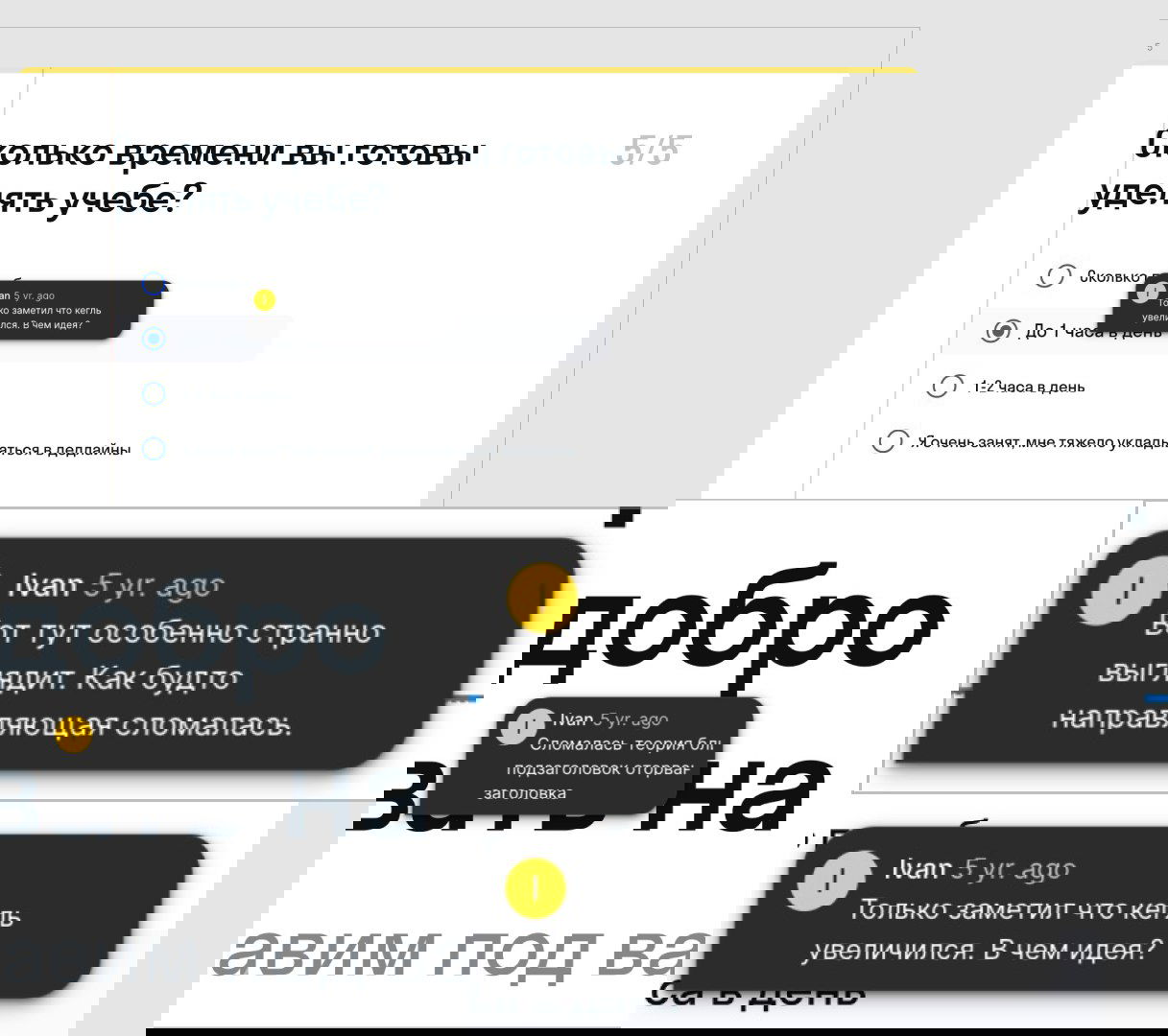 Как выглядит портфолио на мидла?