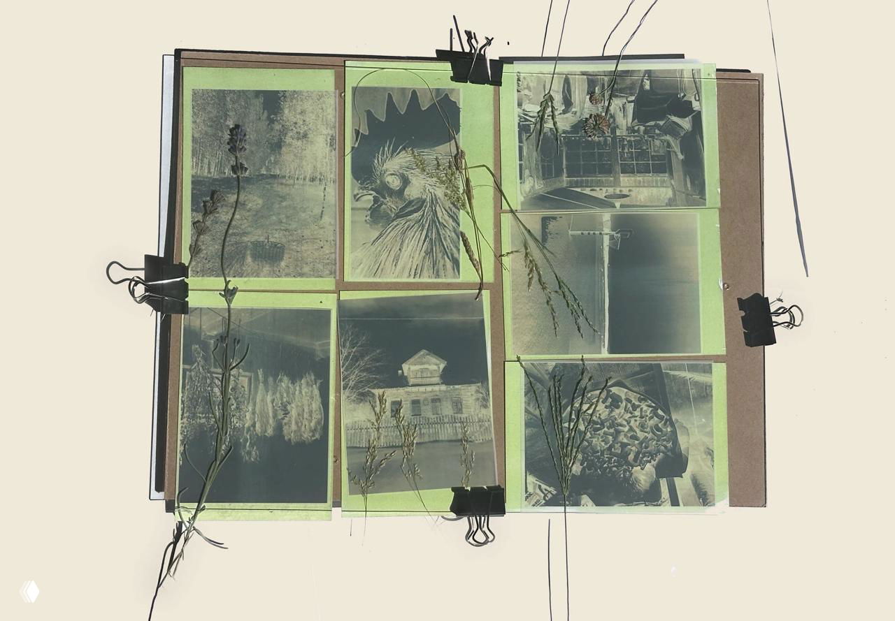 Разложенные негативные отпечатки и сухие травинки, закреплённые прищепками — этап солнечной печати, где растения оставляют отпечатки.