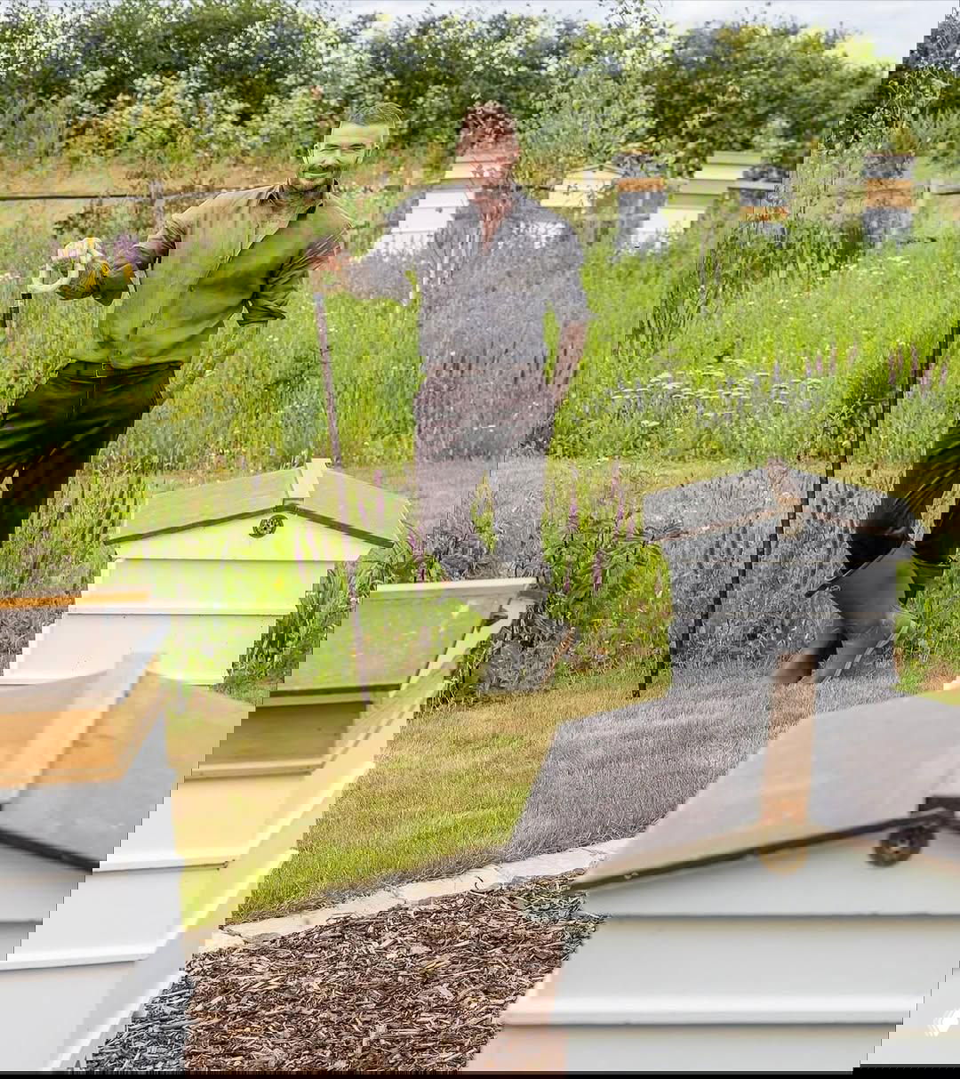 Мужчина в резиновых сапогах стоит среди ульев на лужайке рядом с цветущим садом и зелёными насаждениями