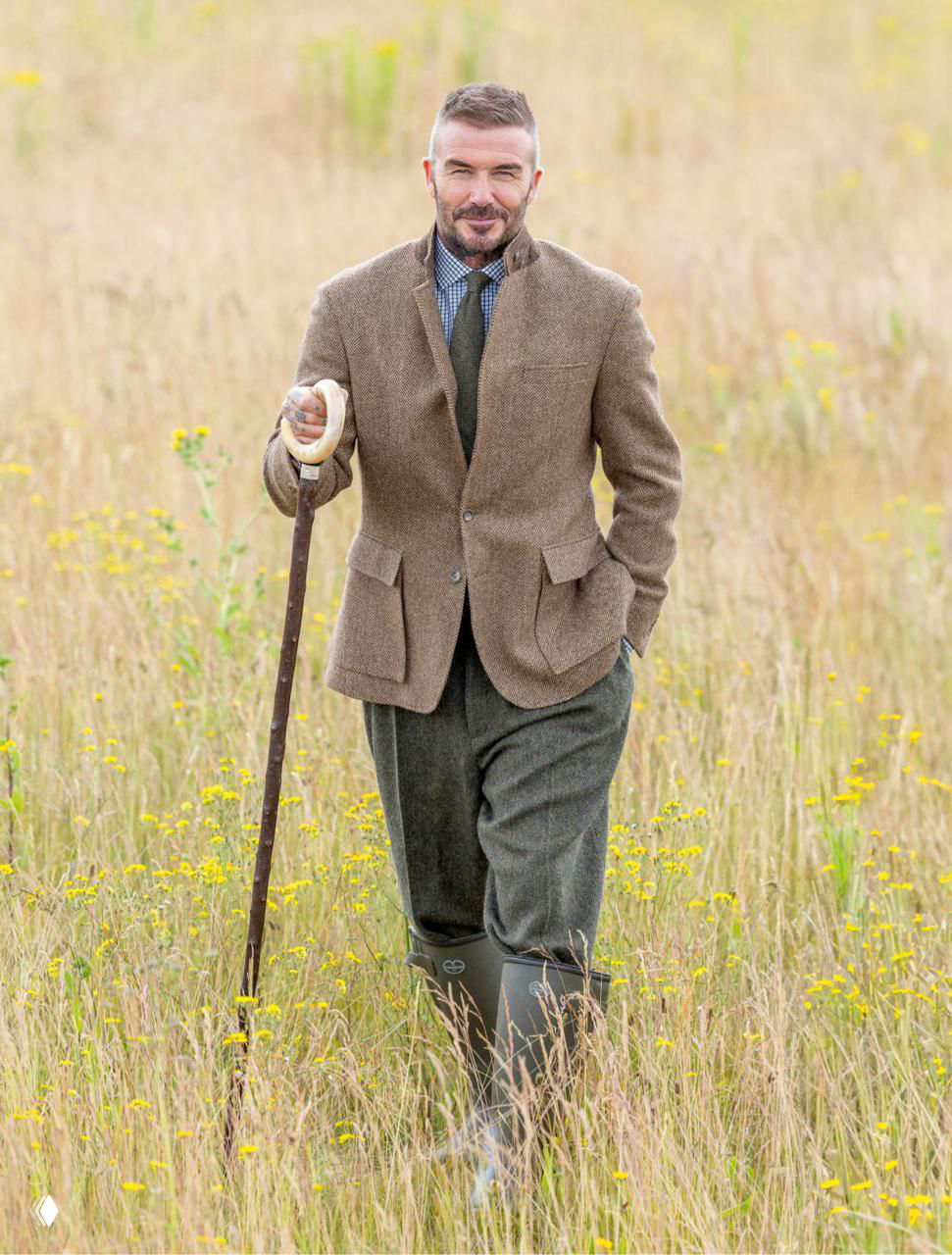 Мужчина в твидовом костюме идёт по цветущему лугу, опираясь на трость, вокруг поле и дикорастущие цветы