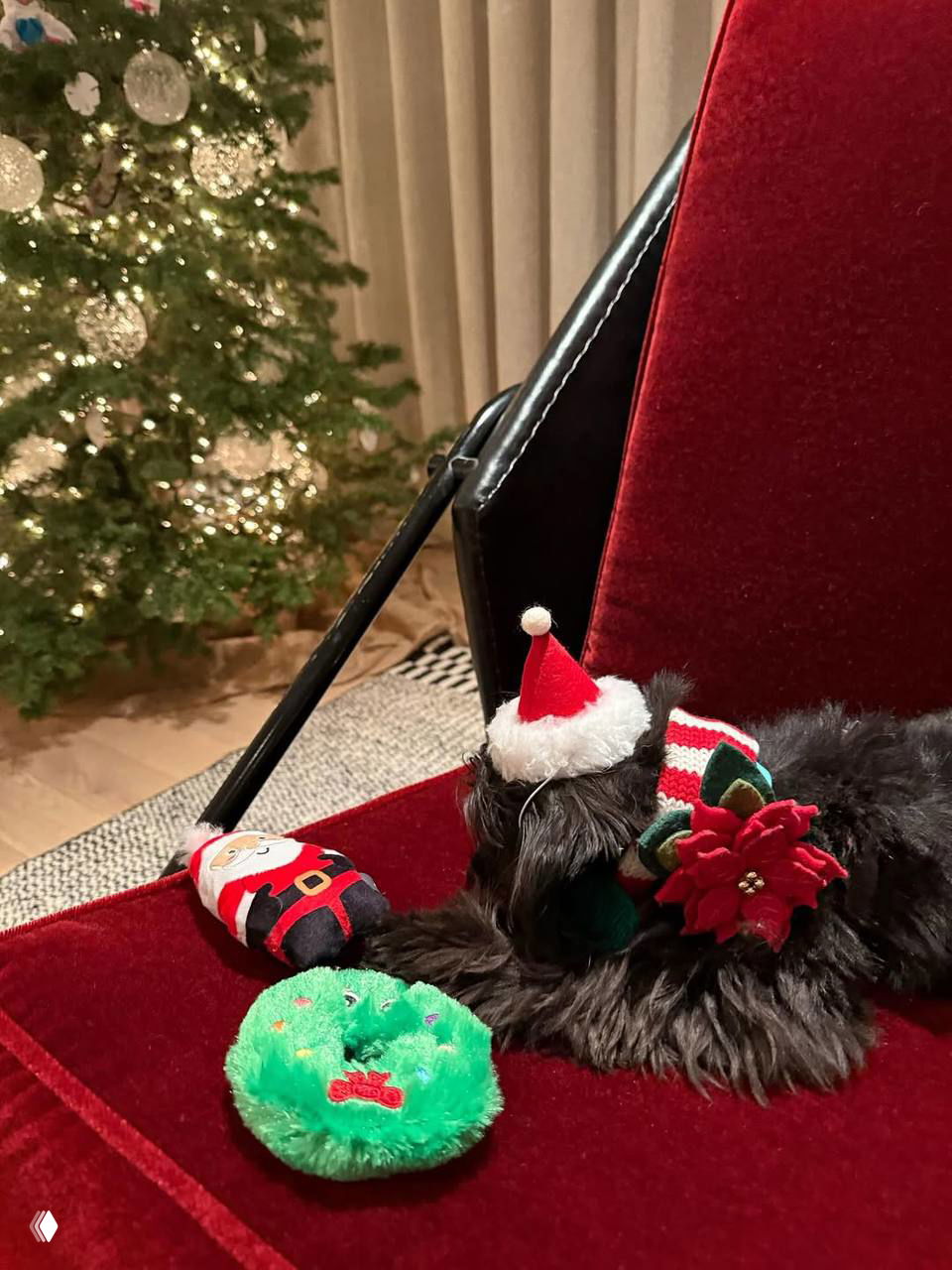 Маленькая тёмная собака в рождественской шапочке и игрушки на красном кресле рядом с украшенной ёлкой — уютный праздничный кадр.
