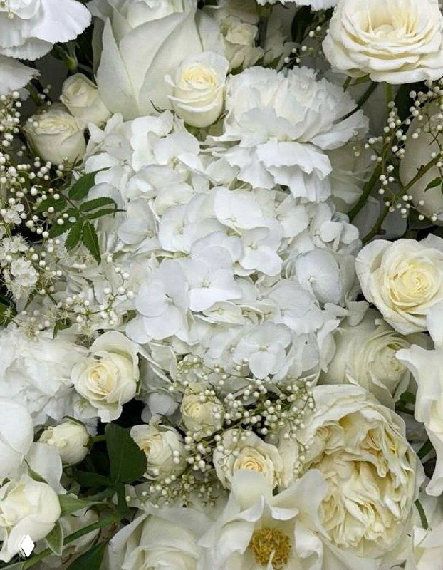 Абстрактное изображение из светлых белых и бледно-жёлтых цветов, выглядящее как художественно обработанная цветочная текстура для фонового кадра.