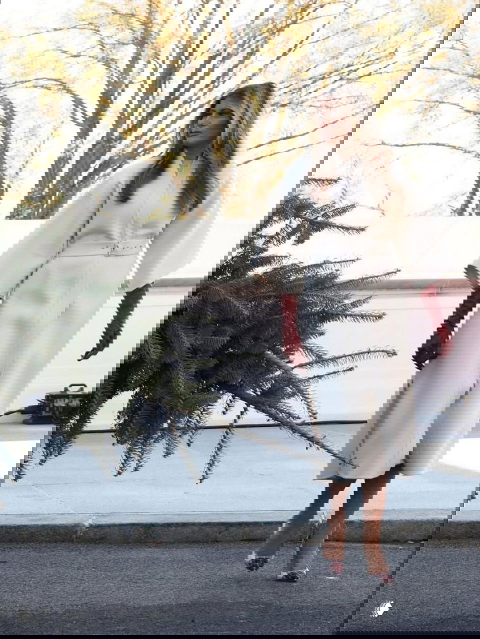 Мелания Трамп в кремовом пальто и красных перчатках проходит мимо ели на территории Резиденции президента США перед установкой главной рождественской ёлки