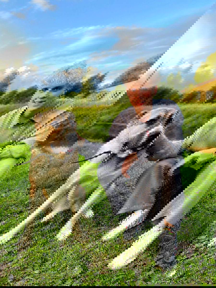 Артист в спокойном повседневном образе сидит в траве рядом с крупной собакой на летнем снимке — кадр на природе вечером.