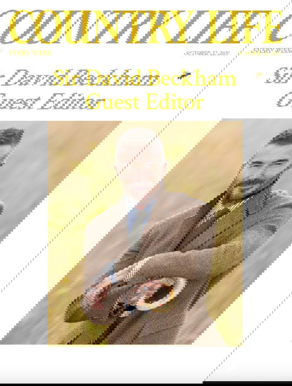 Обложка журнала с портретом мужчины в твидовом костюме на фоне полевого пейзажа, крупный план и заголовок Country Life