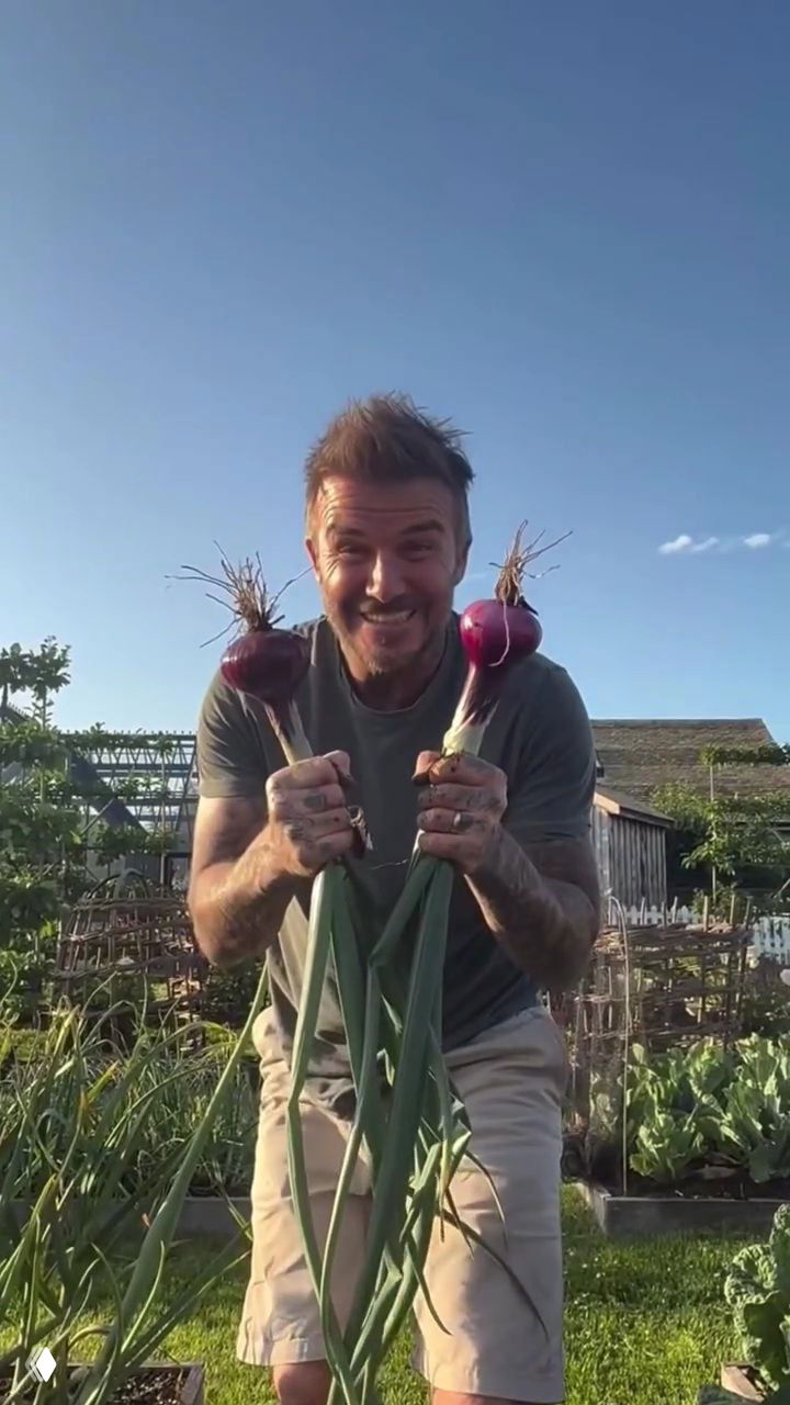 Дэвид Бекхэм улыбается в огороде, держит по одной крупной фиолетовой луковице с зелёными стеблями на фоне грядок и садовой ограды