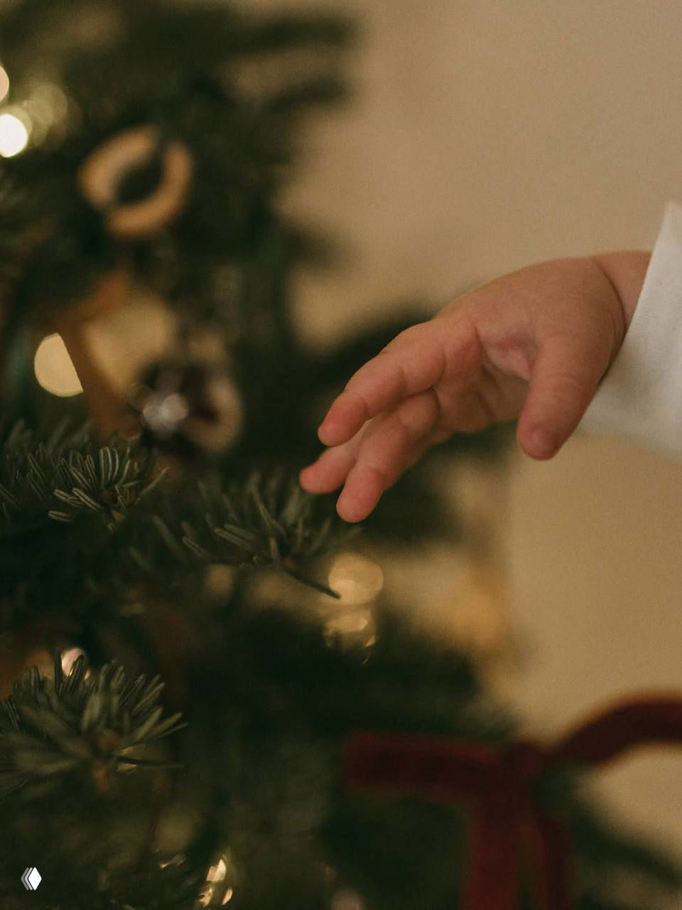 Крупный план детской руки тянется к ветке ёлки с игрушками и огоньками — атмосферный кадр о первых открытиях малыша.