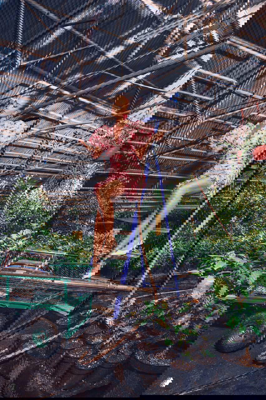 Ольга Бузова в розовом пышном платье сидит на стремянке в оранжерее среди горшков с рассадой и садовым инвентарём — интерьер теплицы.