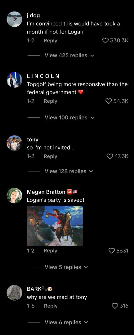 Серия скриншотов комментариев и реакций пользователей в TikTok: обсуждение, шутки и предположения о том, кто такой Логан и его вечеринке.