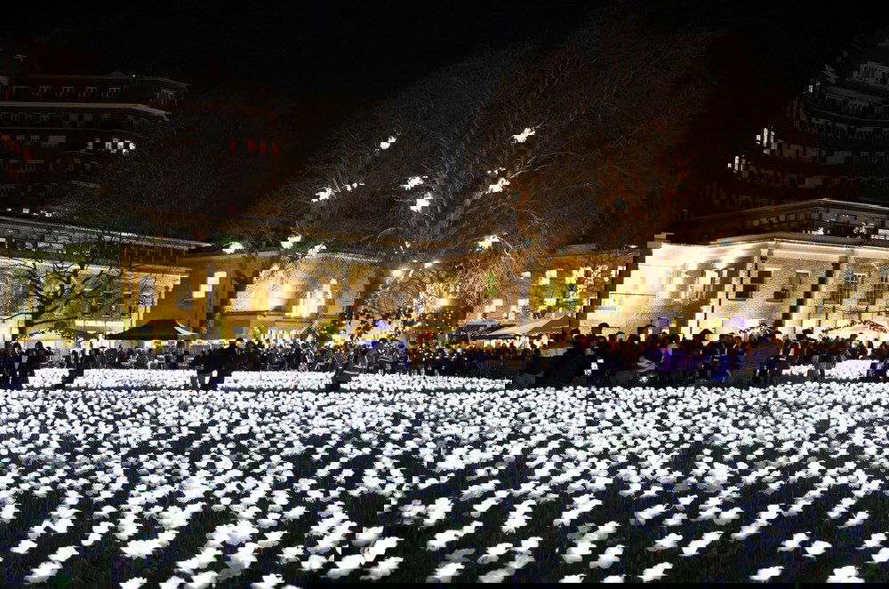 Поле светящихся роз в саду Ever After Garden вечером: тысячи белых искусственных цветов и посетители на фоне подсвеченных зданий.