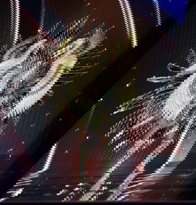 На сцене — участница в золото‑белом костюме с сложными крыльями, блестящими элементами и позой в сияющих прожекторах шоу.