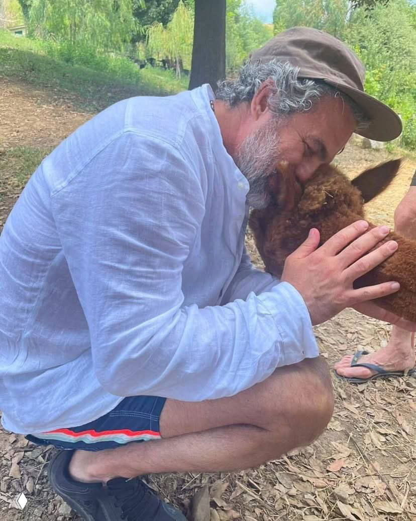 Уиллем Дефо в белой рубашке приседает и нежно прижимает морду альпаки к лицу на своей итальянской ферме.