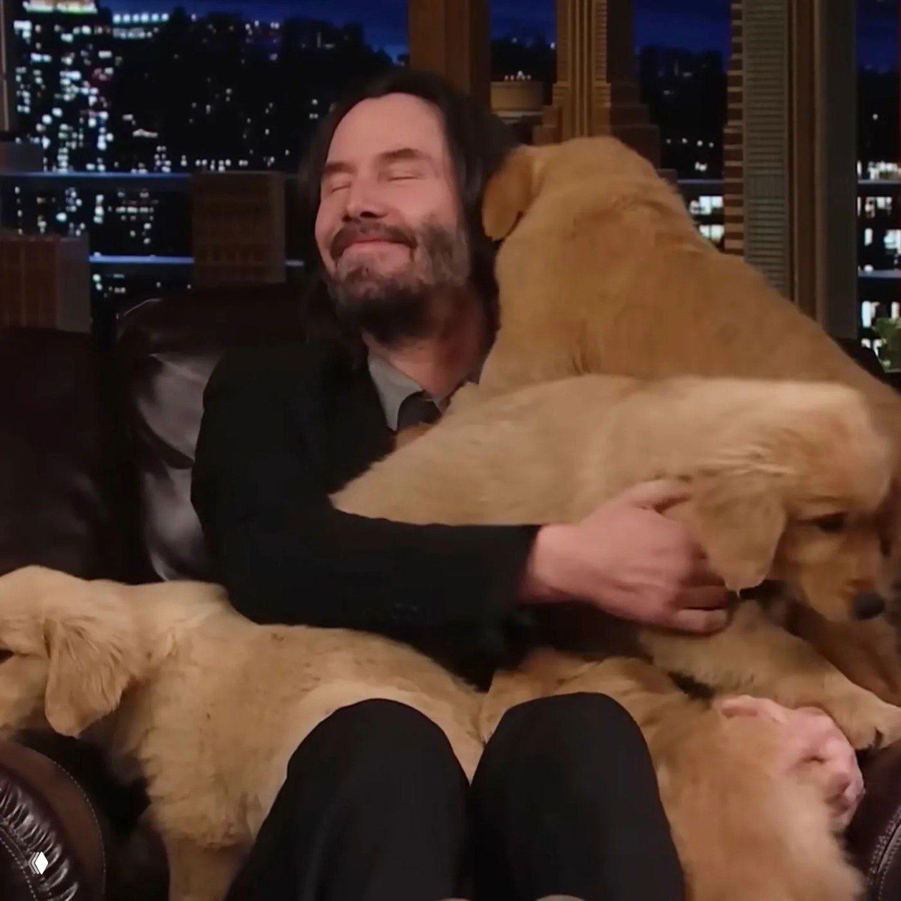 Мужчина улыбается и обнимает несколько щенков на диване — тёплая сцена, иллюстрирующая тему приюта для животных.