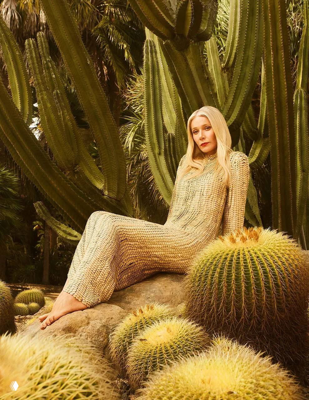 Тёплый кадр в жёлто-золотой гамме: женщина в трикотаже расположилась на камне среди крупных кактусов для летней модной съёмки для глянца.