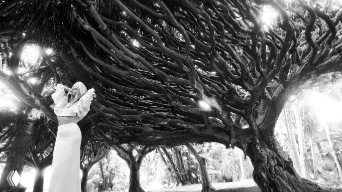 Черно-белый ракурс: крупные ветви старого дерева и рука модели создают концептуальную композицию как завершающий кадр серии для глянцевой съёмки.