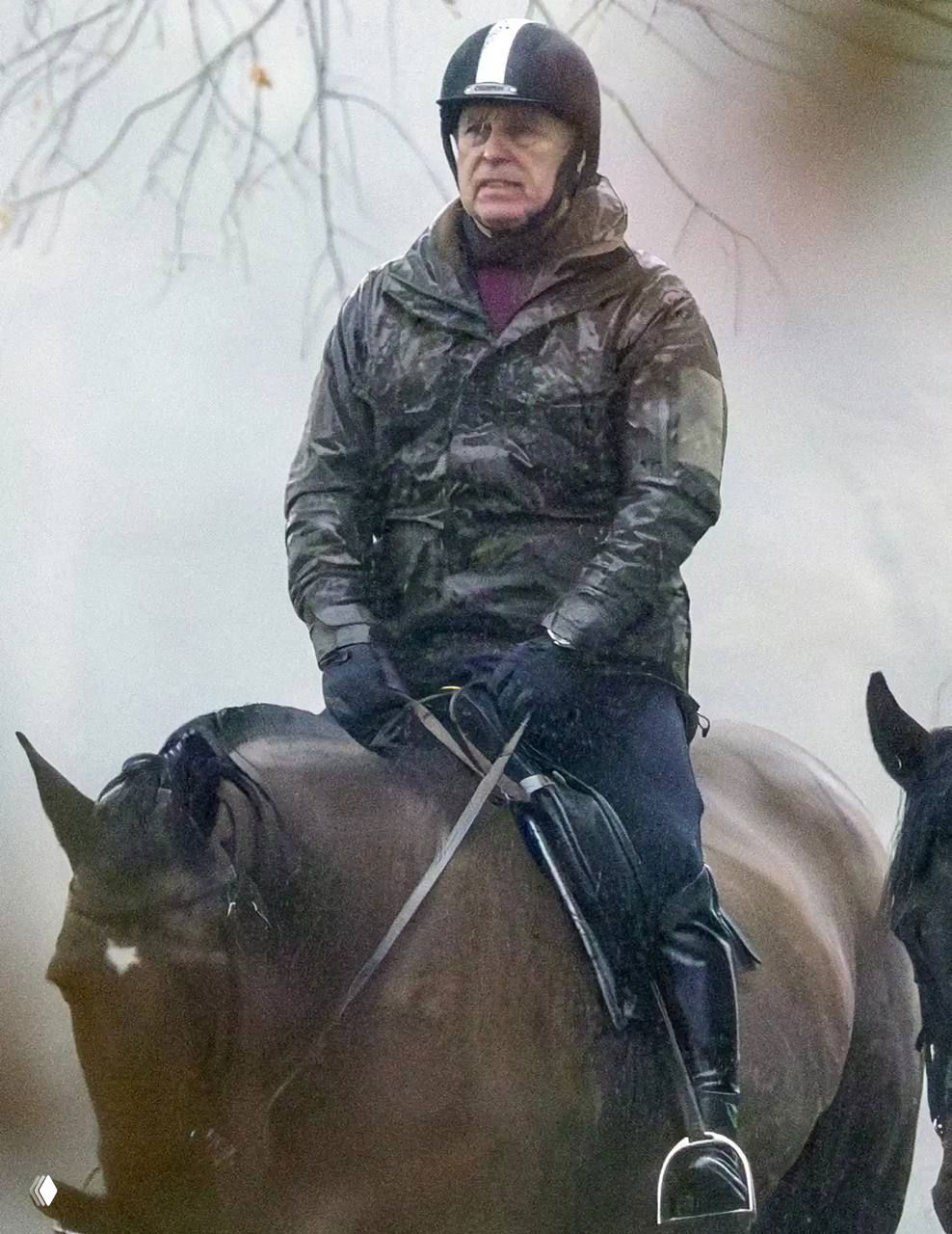 Мужчина в шлеме и непромокаемой куртке верхом на коричневой лошади под дождём в парковой зоне рядом с голыми деревьями.