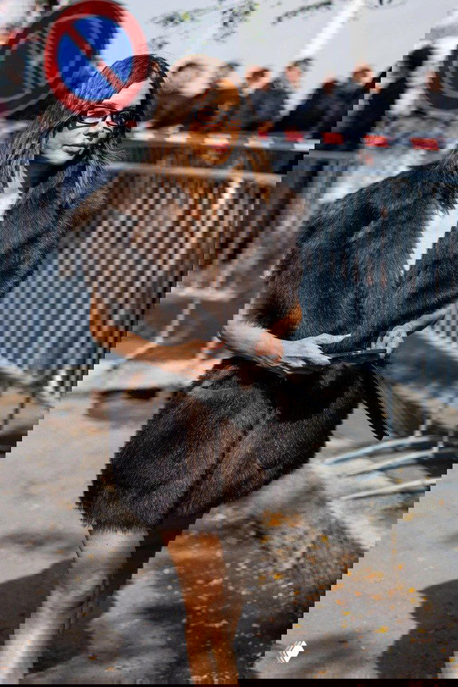 Женщина на уличном снимке в тёмной пушистой меховой жилетке до бедра, в очках; городской фон с ограждениями и прохожими — стритстайл кадр.