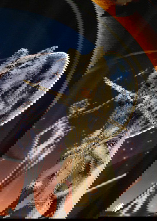 Наряд с волчьей тематикой: меховые элементы, маска волка и лунная декорация на заднем плане, сценическая постановка конкурса.