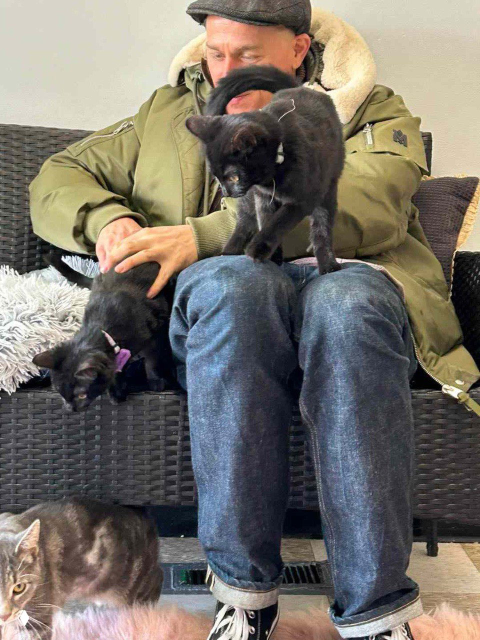 Чарли Ханнэм сидит в кресле приюта Cat Oasis, на коленях у актёра несколько чёрных котов; видны лежанки и часть интерьера приюта.