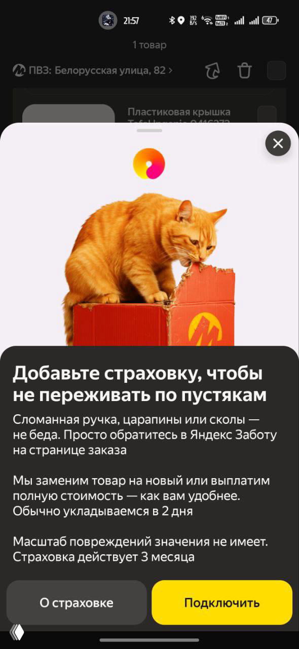 Скриншот промо‑попапа Яндекс Забота: рыжий кот на коробке и рекламный текст о добавлении страховки, краткие условия и кнопки действия.