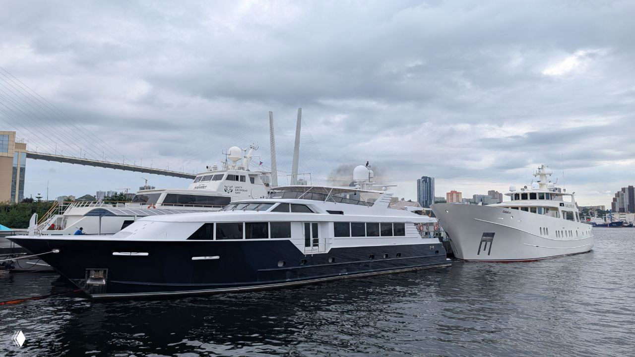 Причал с несколькими пришвартованными прогулочными и частными яхтами на фоне мостов и городских высоток Владивостока