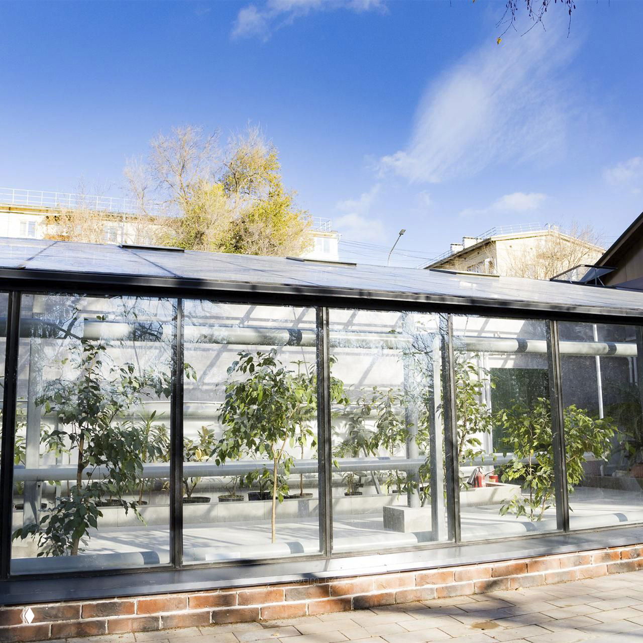 Оранжерея Ботанического сада в Саратове: стеклянная теплица с коллекцией редких растений на фоне ясного голубого неба.