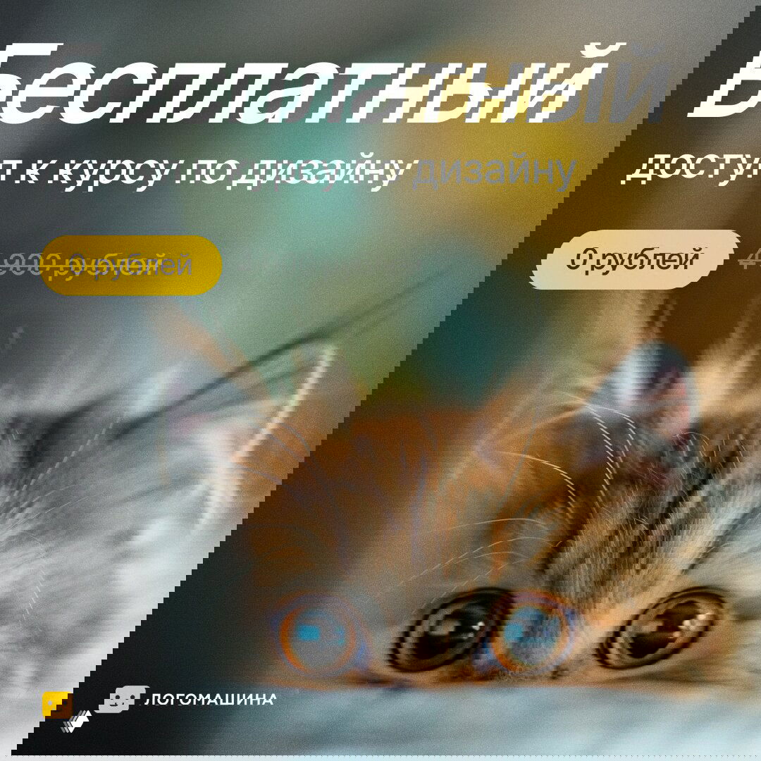 Рыжий котёнок на промо-баннере курса: надпись «Бесплатный доступ к курсу по дизайну», кнопка «0 рублей» и логотип Logomachine, рекламный баннер.