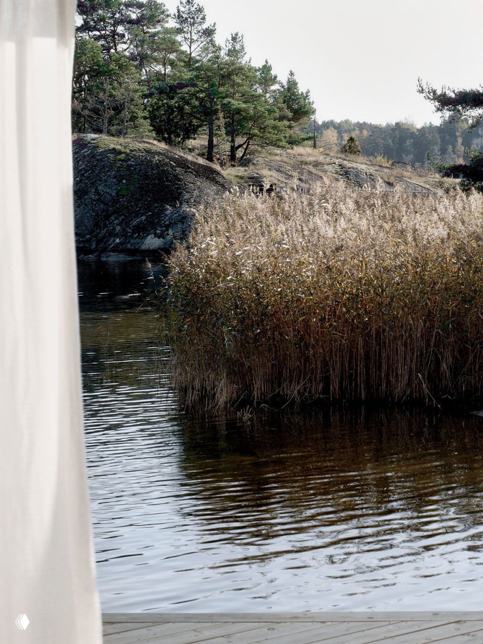 Вид на прибрежную растительность и лес с выходом к воде через деревянную террасу — спокойный морской пейзаж рядом с домом-эллингом.