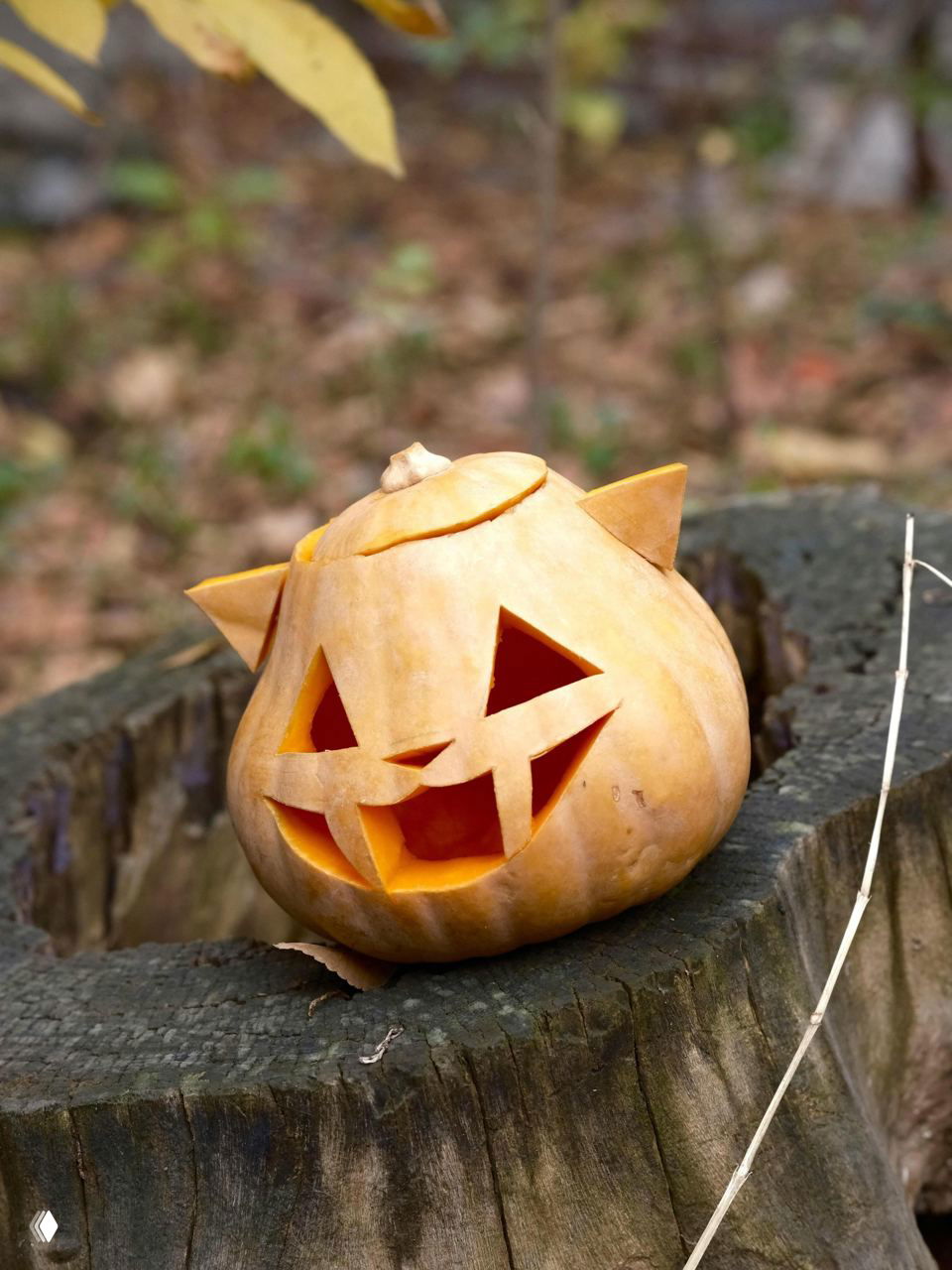 Тыква с треугольными глазами и улыбкой, дополненная ушками, стоит на старом пне в природной обстановке; фото подчёркивает рукотворный характер и естественную фон.