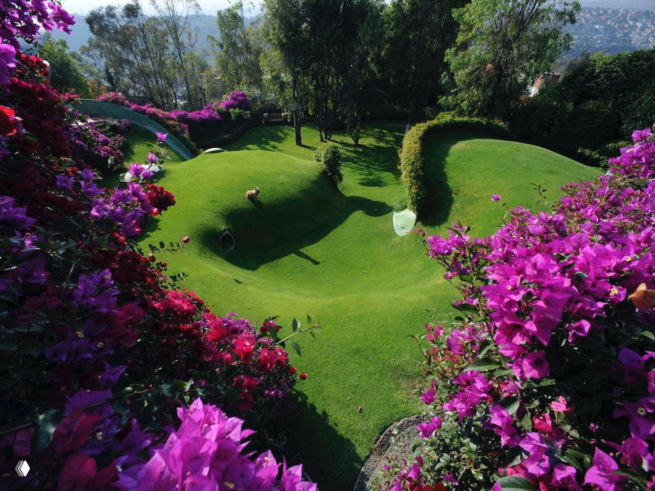 Вид сверху на зеленый холм с округлыми формами и яркими бугенвиллиями, где врезаны овальные окна-провалы Casa Organica в Мексике.