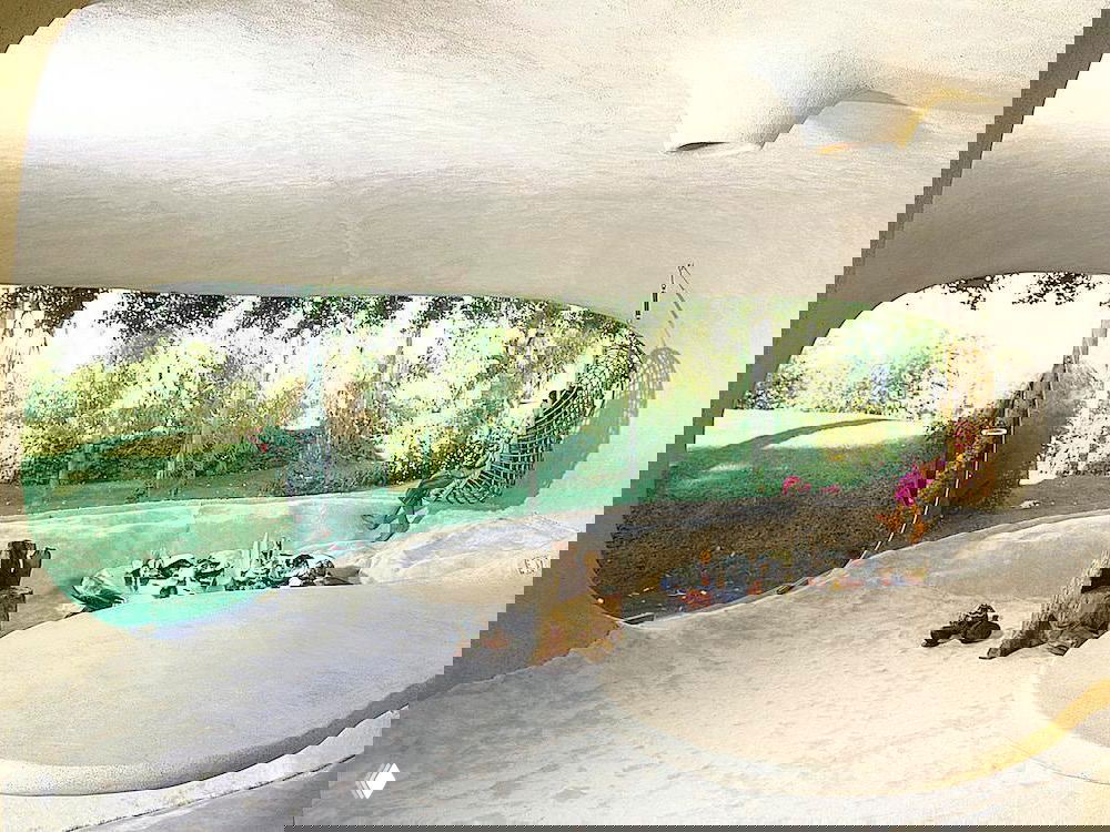 Интерьерно-панорамный ракурс: изогнутые потолки и стеновые ниши, заполненные естественным светом и видом на зеленый ландшафт.