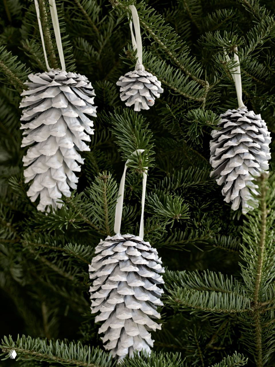 Шишки, побелённые белой краской и подвешенные на ленточках к веткам ели — натуральные и простые подвески для ёлки или гирлянды.
