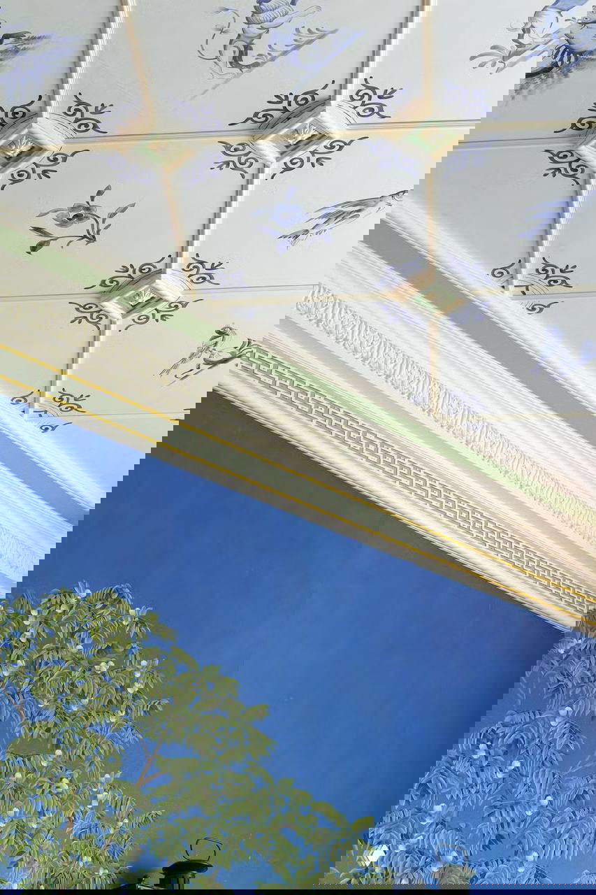 Фрагмент потолка и верхней части стены с декоративным фризом: голубой фон и изображение листвы как часть панорамного садового сюжета обоев.