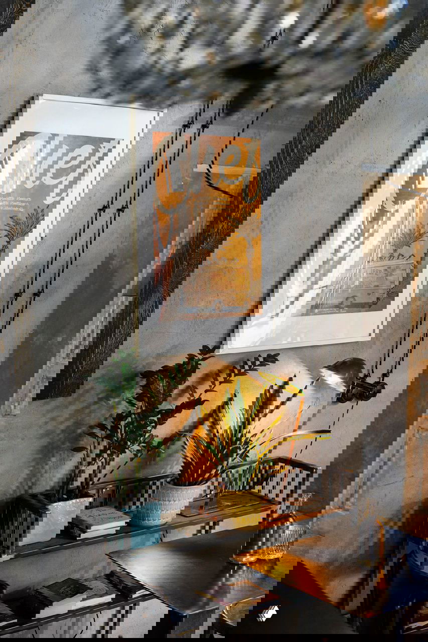 Ракурс на настенную картину в белой раме, металлическая настольная лампа, полка с растениями и грубая окрашенная штукатурка в кафе «Ровесники», фото Кирилла Овчинникова.