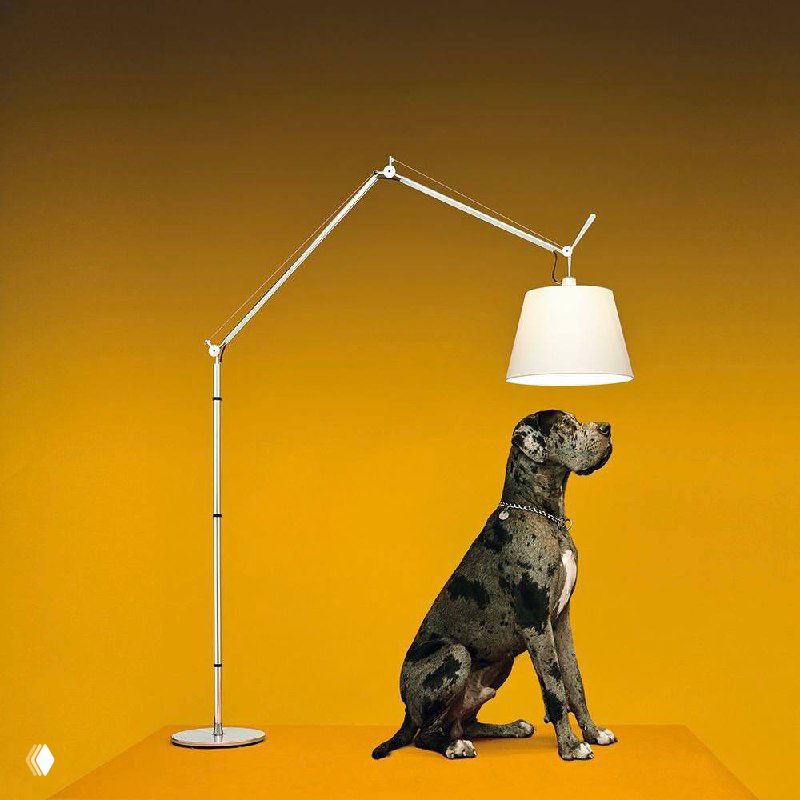 Сцена с настольным светильником и силуэтом собаки на насыщенном жёлтом фоне — сценографическая фотография предметного дизайна.
