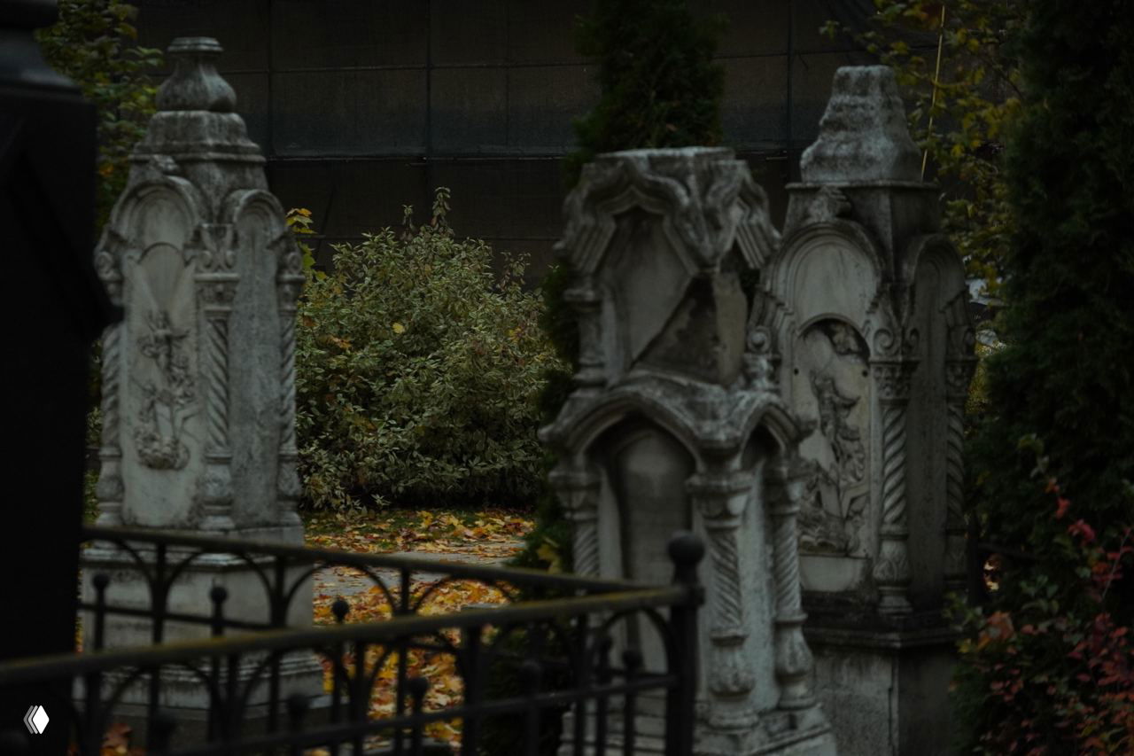 Ряд каменных надгробий и ограждений на Старом Донском кладбище, видны орнаменты и затененные кусты в окружении листвы