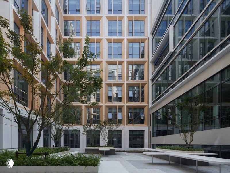 Внутренний двор между корпусами: большие окна, минималистичные зелёные насаждения и просторные переходы для прогулок и общения студентов.