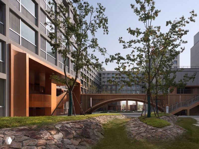 Пешеходный мост и ландшафтная зона кампуса: многоуровневые переходы, деревья и газоны, связывающие столовую и общежития с учебными корпусами.