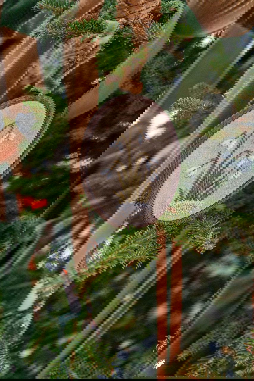 Крупный план вышитого цветочного орнамента на деревянном медальоне, подвешенном среди еловых ветвей и декоративных кристальных подвесов.