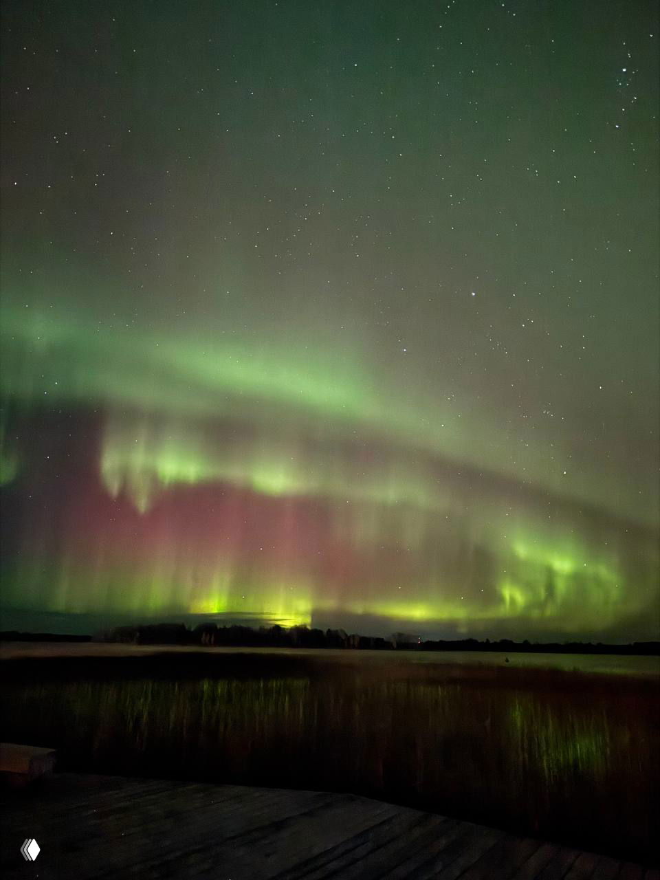 Полярное сияние над озером в Карелии: зелёные и розовые световые полосы над водой, тёмное небо со звёздами и прибрежная растительность.