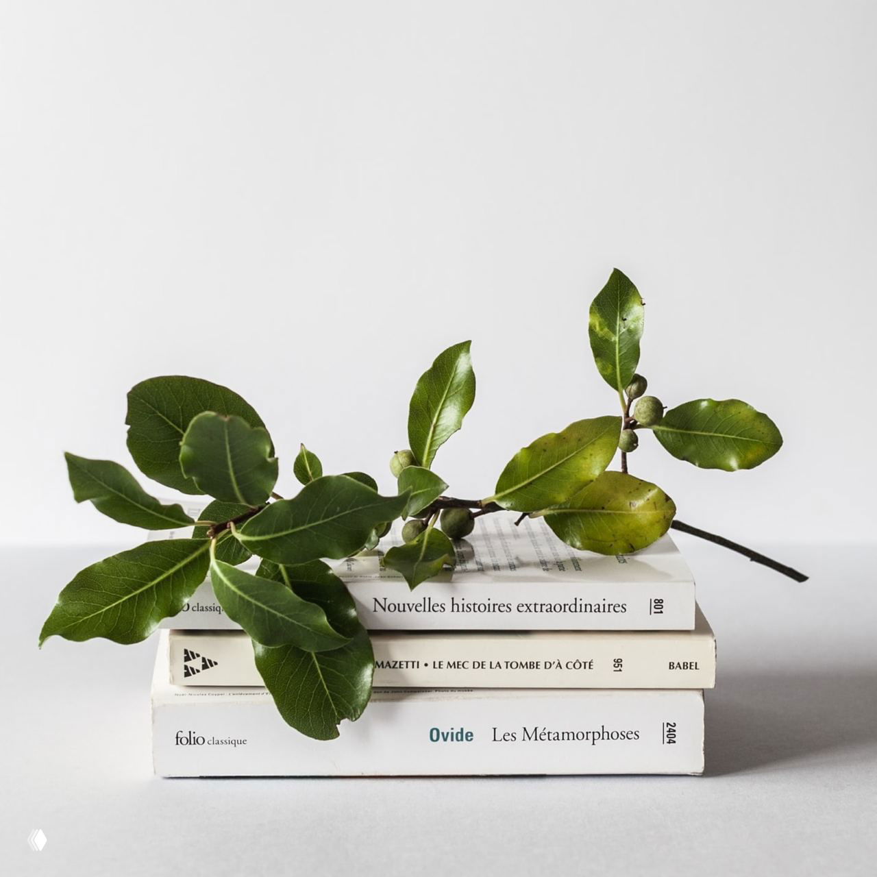 Ветка с зелёными листьями лежит на стопке книг на нейтральном фоне — минималистичная стилизация для домашнего декора