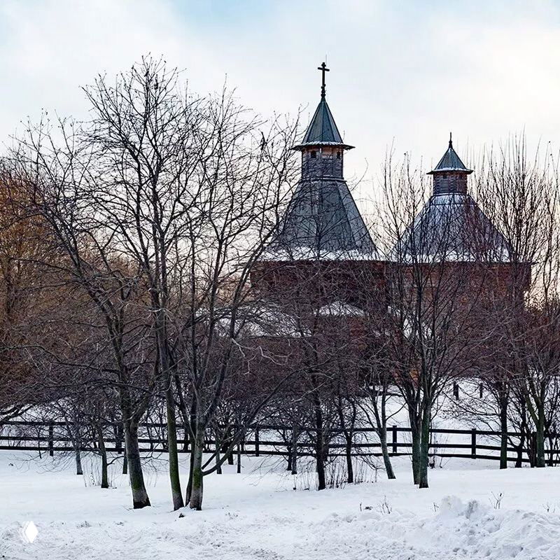 Заснеженный городской пейзаж с деревьями и силуэтами куполов деревянной или старинной постройки за оградой; зимняя атмосфера района Москвы.