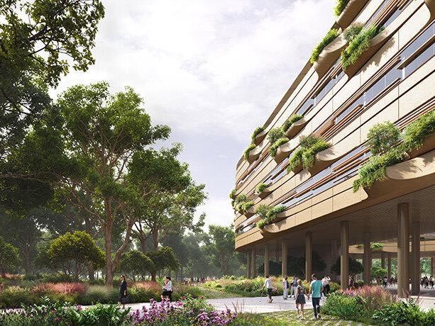 Перспектива с земли на криволинейный фасад больницы Мальпенса: крупные колонны, озеленённые ниши и переходы между общественными зонами и внешним парком.