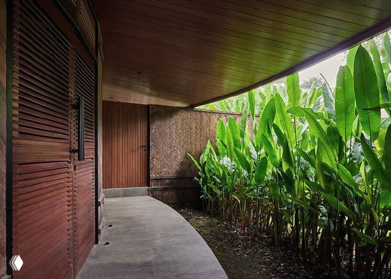Пешеходная галерея под изогнутой деревянной кровлей, по которой плавно стекает свет и открываются виды на тропическую растительность.