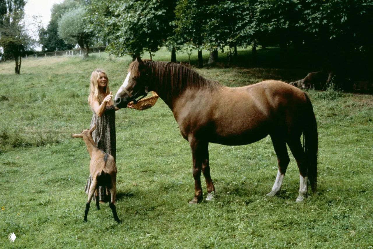 Пасторальное фото: женщина кормит лошадь на лугу рядом с диким оленёнком — сцена гармонии с природой и животными на территории усадьбы.