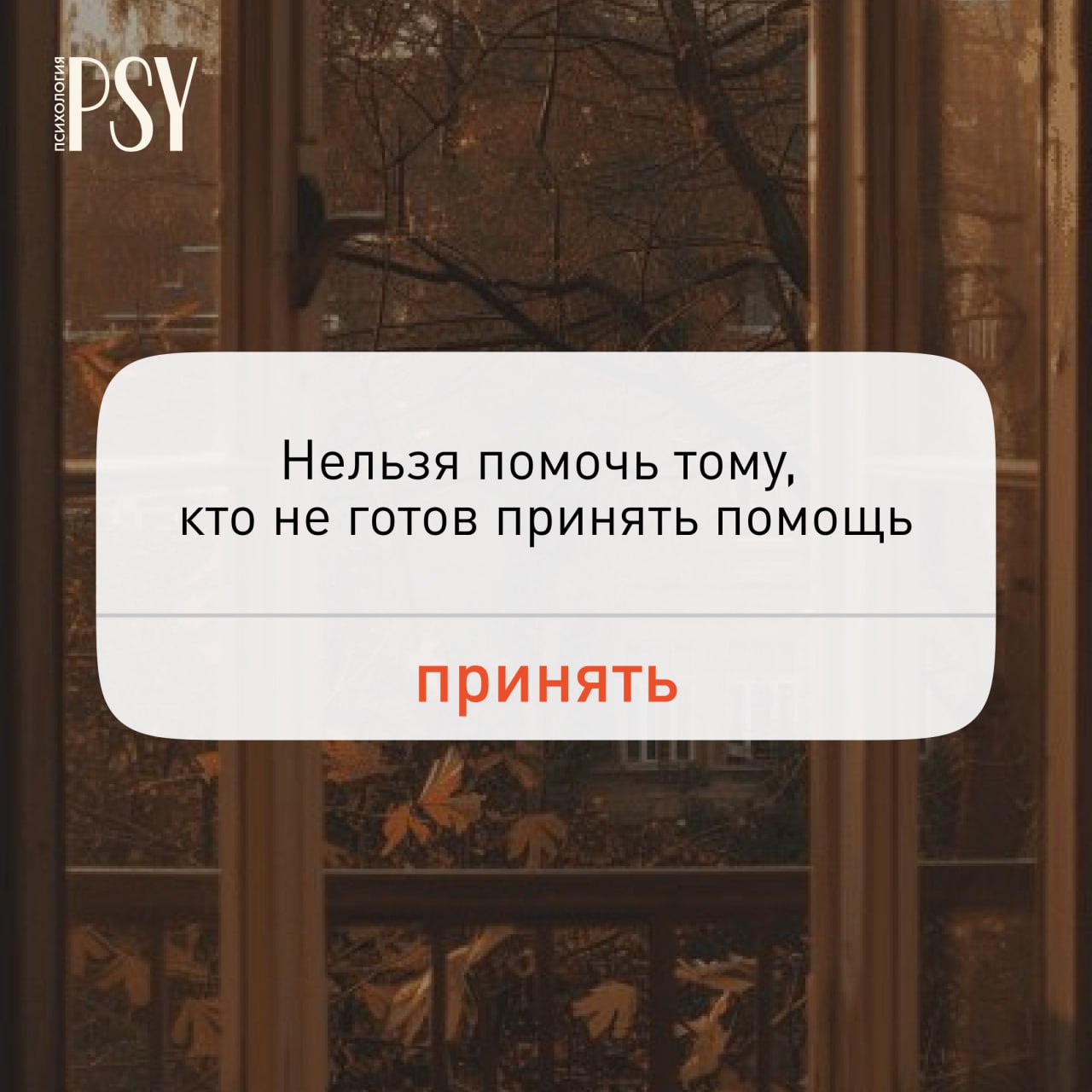 Фотография: вид через окно на балкон с опавшими осенними листьями; на переднем плане крупный белый блок с цитатой о поддержке и принятии.