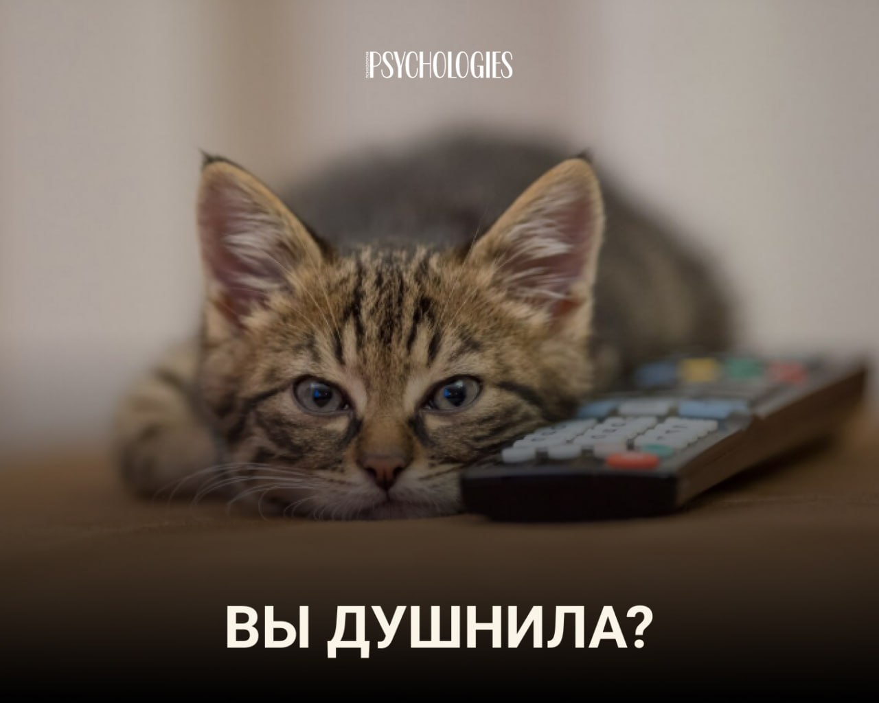 Крупный план котёнка, лежащего рядом с пультом; фон размыт, вверху логотип Psychologies, иллюстрирует пост о тесте.